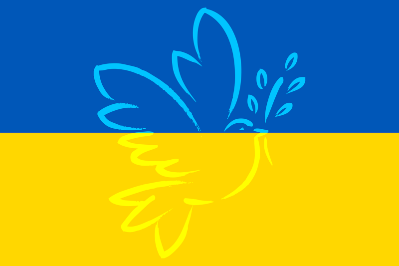 Sonderinfo Ukraine II
