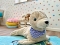 Plüschrobbe mit blau-weiß gestreiftem Halstuch liegt auf blauem Untergrund in einem Kinderzimmer mit gepunkteter Wand und Spielzeug im Hintergrund