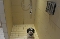 Unsere Hundedusche im Erdgeschoss.