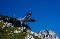 Aussichtsplattform AlpspiX - Bergpanorama und Blick in tausend Meter Tiefe