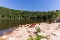 Ausflugsziel: Mummelsee