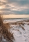 Strand mit Dünen und trockenem Gras unter bewölktem Himmel