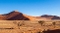 Landschaftsaufnahme der Namib-Wüste mit hohen Sanddünen, vereinzelten Bäumen und klarem blauem Himmel