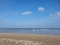 Strand mit Muscheln im Vordergrund, ruhiges Meer und blauer Himmel mit wenigen Wolken